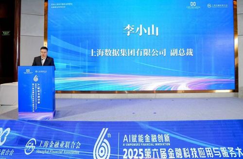 AI賦能金融創(chuàng)新 2025第六屆金融科技應(yīng)用與服務(wù)大會(huì)聚焦信息技術(shù)咨詢(xún)服務(wù)新范式